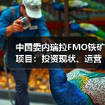中国委内瑞拉FMO铁矿项目:投资现状、运营挑战与未来展望(图2) 中国委内瑞拉FMO铁矿项目:投资现状、运营挑战与未来展望(图2)