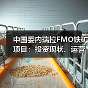 中国委内瑞拉FMO铁矿项目:投资现状、运营挑战与未来展望(图4) 中国委内瑞拉FMO铁矿项目:投资现状、运营挑战与未来展望(图4)