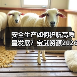 安全生产如何护航高质量发展?宝武资源2026部署要点(图3) 安全生产如何护航高质量发展?宝武资源2026部署要点(图3)