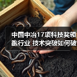 中国中冶17项科技奖领跑行业 技术突破如何破解工程难题?(图2) 中国中冶17项科技奖领跑行业 技术突破如何破解工程难题?(图2)