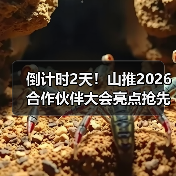倒计时2天！山推2026合作伙伴大会亮点抢先看（图4）