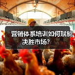 营销体系培训如何赋能决胜市场?(图1) 营销体系培训如何赋能决胜市场?(图1)