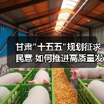 甘肃 甘肃