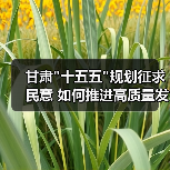 甘肃 甘肃