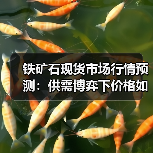 铁矿石现货市场行情预测:供需博弈下价格如何走?(图4) 铁矿石现货市场行情预测:供需博弈下价格如何走?(图4)