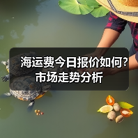 海运费今日报价如何？市场走势分析（图1）