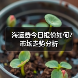 海运费今日报价如何？市场走势分析（图3）