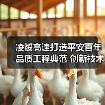 凌绥高速打造平安百年品质工程典范 创新技术引领行业标杆（图1）