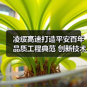 凌绥高速打造平安百年品质工程典范 创新技术引领行业标杆（图3）