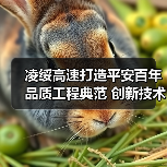凌绥高速打造平安百年品质工程典范 创新技术引领行业标杆（图4）