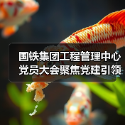 国铁集团工程管理中心党员大会聚焦党建引领高质量发展(图2) 国铁集团工程管理中心党员大会聚焦党建引领高质量发展(图2)