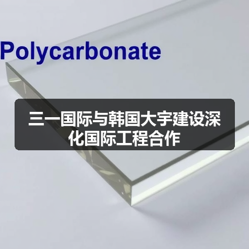 三一国际与韩国大宇建设深化国际工程合作 三一国际与韩国大宇建设深化国际工程合作