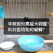 华发股份高层大调整!利润困境如何破解?(图4) 华发股份高层大调整!利润困境如何破解?(图4)