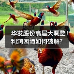 华发股份高层大调整!利润困境如何破解?(图3) 华发股份高层大调整!利润困境如何破解?(图3)