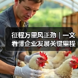 征程万里风正劲 | 一文看懂企业发展关键里程碑（图1）
