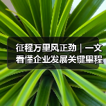 征程万里风正劲 | 一文看懂企业发展关键里程碑（图4）