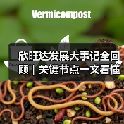 欣旺达发展大事记全回顾｜关键节点一文看懂（图1）