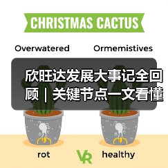 欣旺达发展大事记全回顾｜关键节点一文看懂（图4）