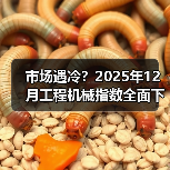 市场遇冷?2025年12月工程机械指数全面下滑(图3) 市场遇冷?2025年12月工程机械指数全面下滑(图3)