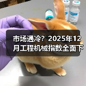 市场遇冷?2025年12月工程机械指数全面下滑(图4) 市场遇冷?2025年12月工程机械指数全面下滑(图4)