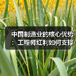 中国制造业的核心优势：工程师红利如何支撑创新？（图2）