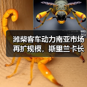 潍柴客车动力南亚市场再扩规模，斯里兰卡长途客车高效运行（图2）