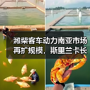 潍柴客车动力南亚市场再扩规模，斯里兰卡长途客车高效运行（图4）