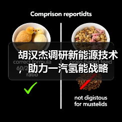 胡汉杰调研新能源技术,助力一汽氢能战略(图3) 胡汉杰调研新能源技术,助力一汽氢能战略(图3)
