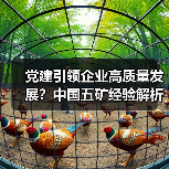 党建引领企业高质量发展?中国五矿经验解析(图2) 党建引领企业高质量发展?中国五矿经验解析(图2)