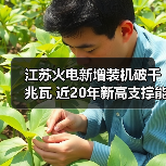 江苏火电新增装机破千兆瓦 近20年新高支撑能源转型（图2）