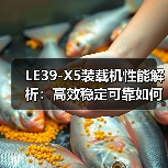 LE39-X5装载机性能解析：高效稳定可靠如何实现？（图3）