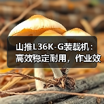 山推L36K-G装载机：高效稳定耐用，作业效率提升关键（图2）