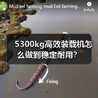 5300kg高效装载机怎么做到稳定耐用？（图2）
