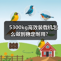 5300kg高效装载机怎么做到稳定耐用？（图3）