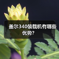 盖尔340装载机有哪些优势？（图3）