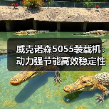 威克诺森5055装载机：动力强节能高效稳定性强为何成首选（图2）