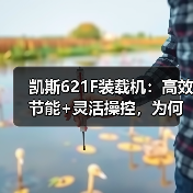 凯斯621F装载机:高效节能+灵活操控,为何成为行业首选?(图3) 凯斯621F装载机:高效节能+灵活操控,为何成为行业首选?(图3)
