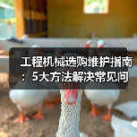 工程机械选购维护指南:5大方法解决常见问题(图3) 工程机械选购维护指南:5大方法解决常见问题(图3)