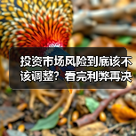 投资市场风险到底该不该调整？看完利弊再决定（图3）