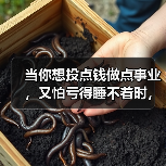 当你想投点钱做点事业，又怕亏得睡不着时，我们该怎么办？（图1）