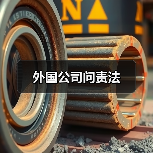 外国公司问责法(图2) 外国公司问责法(图2)