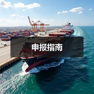 申报指南（图2）