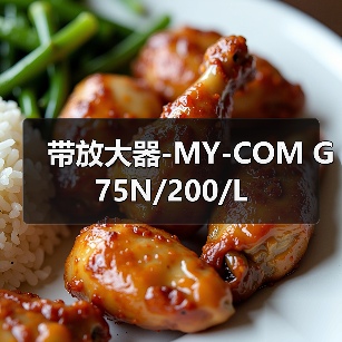 带放大器-MY-COM G75N/200/L（图4）