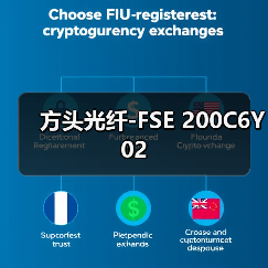 方头光纤-FSE 200C6Y02（图1）