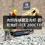 光纤传感器及光纤-圆柱形光纤-FCE 200C1Y01（图1）