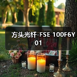 方头光纤-FSE 100F6Y01（图1）