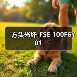 方头光纤-FSE 100F6Y01（图2）