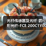 光纤传感器及光纤-圆柱形光纤-FCE 200C1Y00（图3）