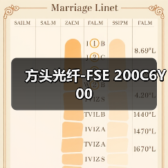方头光纤-FSE 200C6Y00（图2）