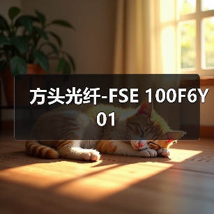 方头光纤-FSE 100F6Y01（图4）